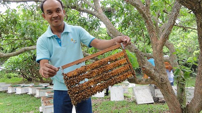 タイ・チェンマイの養蜂場｜生ローヤルゼリーを直輸入
